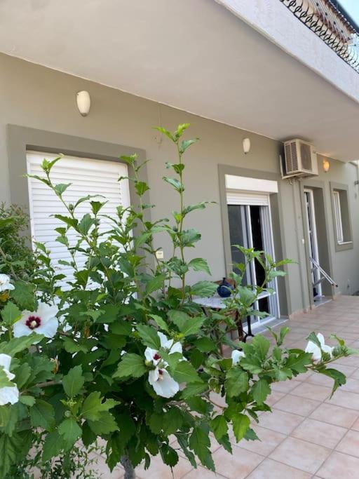Ilisia Neapoli Apartments 1 Neápolis エクステリア 写真