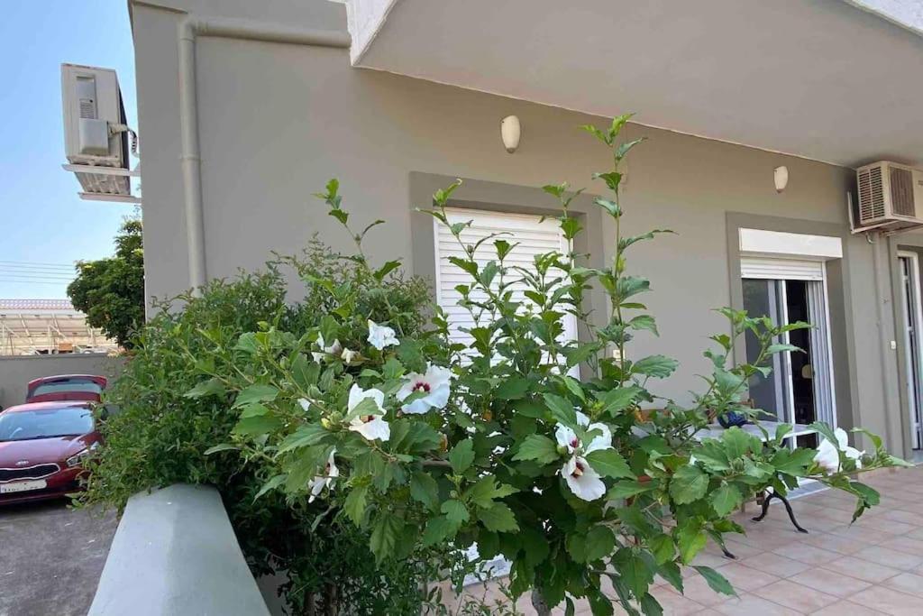 Ilisia Neapoli Apartments 1 Neápolis エクステリア 写真
